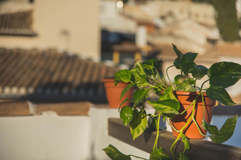 Rooms Vita & Bar - Más que un hotel en el centro